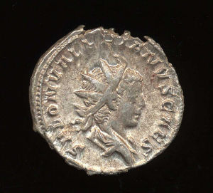 Obverse image of a coin of Saloninus