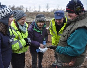 DSC_0699 Knutsford Dec dig_cropped_reduced