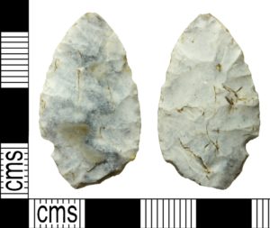 Neolithic leaf arrowhead found in Wiltshire (WILT-942701). Copyright: Salisbury and South Wiltshire Museum, CC-BY Licence.